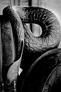 Wall_Art_Alphabet_Photography_Art_ 1815